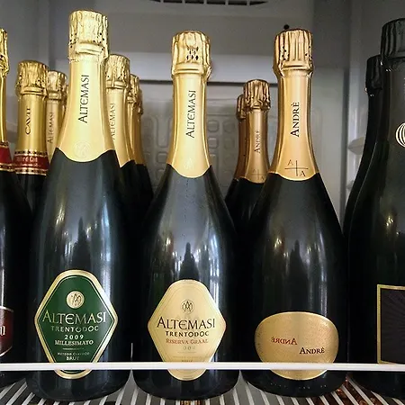 酒店 史波堤泰伦酒店 3*